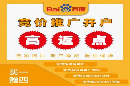 百度优化推广案例剖析：某电商平台的成功之路